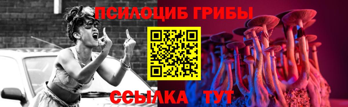 Псилоцибиновые грибы прущие грибы  Вход с VPN  Псилоцибиновые грибы Psilocybine cubensis  Троицк 